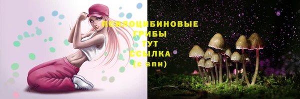 амф Беломорск