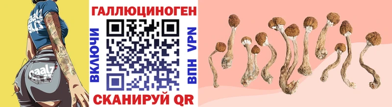 Купить закладки  Назарово  Галлюциногенные грибы Psilocybe 